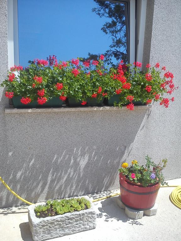 Guest House Vukusic Crikvenica Exterior photo